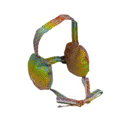   Fülpárnához fejre köthető huzat Náthastopshop Felnőtt Színes