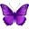 Lila pillangós
